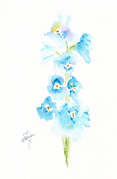 Delphinium